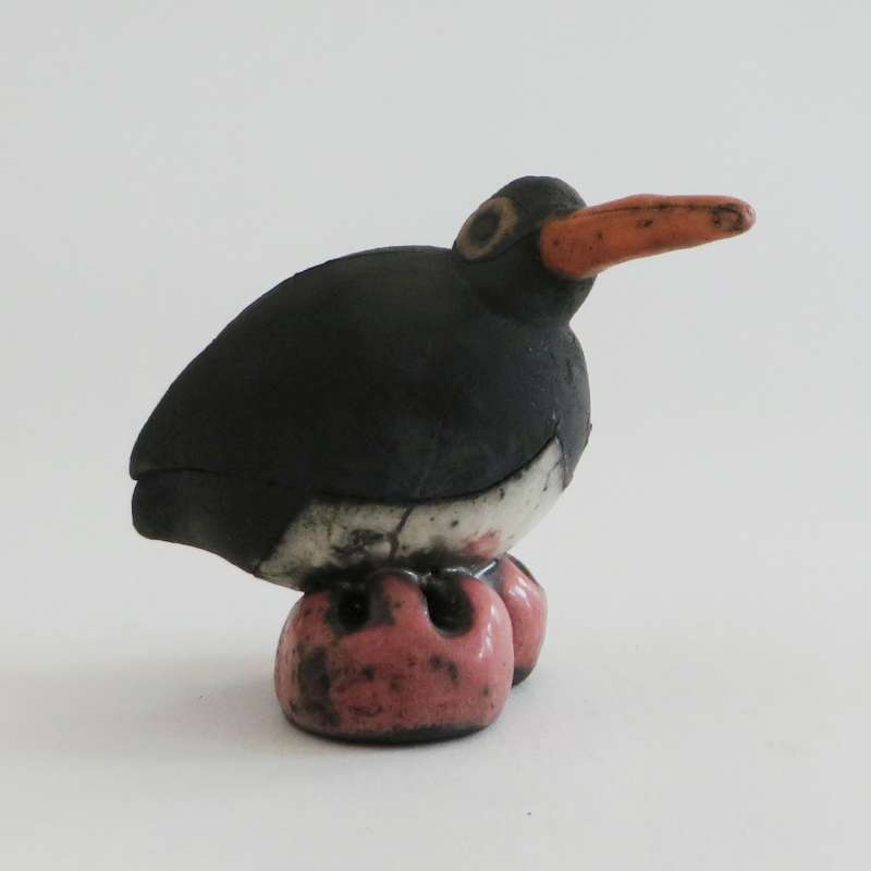 Small Oyster Catcher